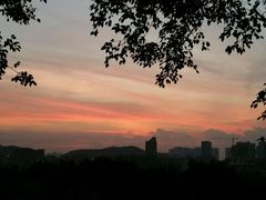 -荔城生鲜盛宴(番禺旗舰店)