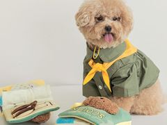 -萌兽医馆·犬猫专科·眼科中心·宠物医院(朝阳门分院)