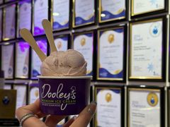 -Dooley's Premium Ice Cream