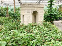 -南宫五洲植物乐园