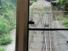 -神户市立六甲山牧场