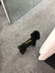 -斐尔国际皮肤管理中心