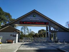 -中国大熊猫保护研究中心雅安碧峰峡基地