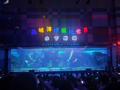 -泉城欧乐堡海洋极地世界