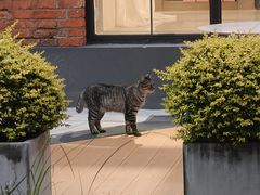 -渝味川菜(夜宵航母店)