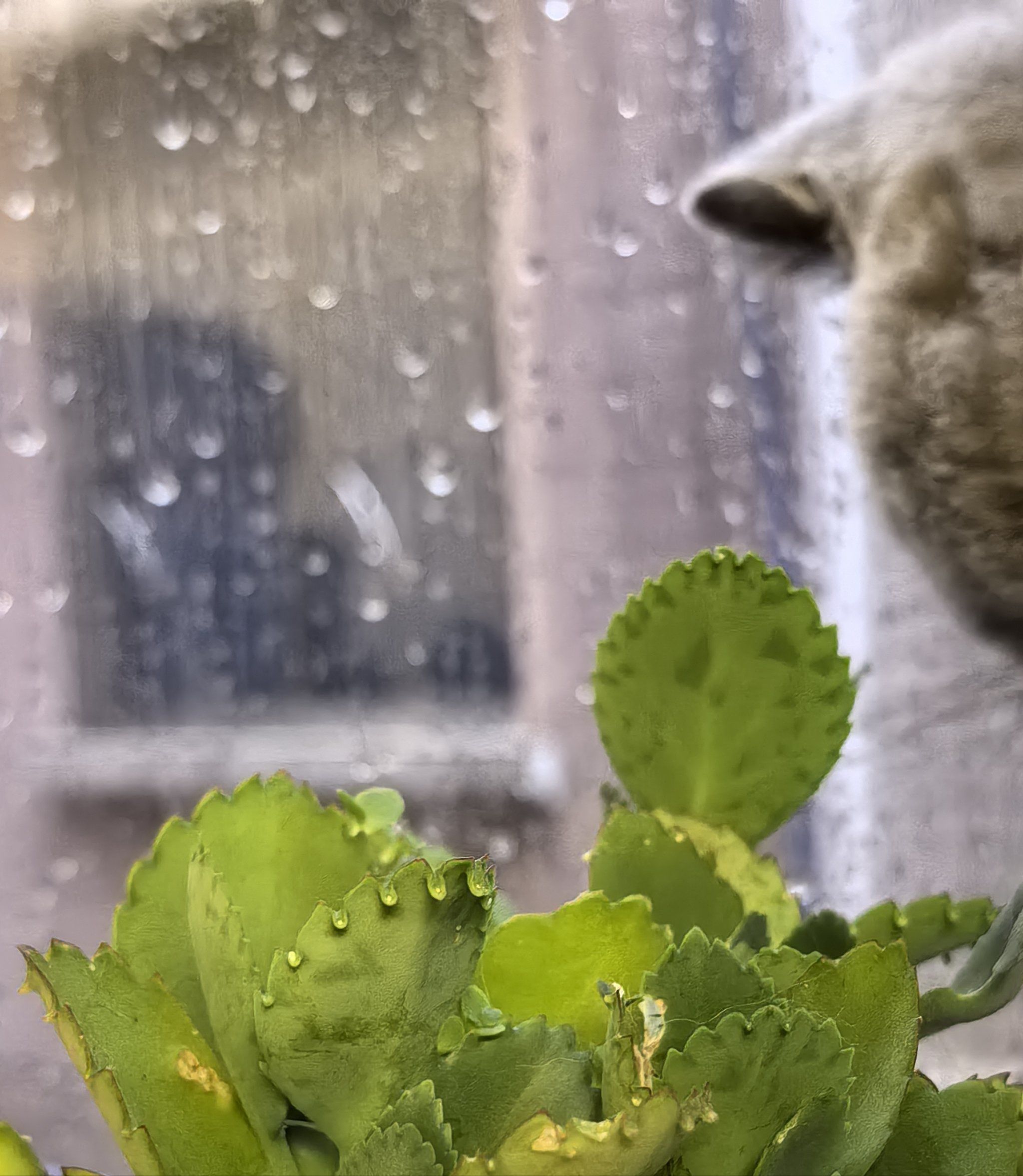 绵绵不断 大众点评