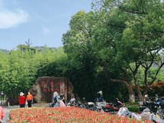 -敬亭山风景名胜区