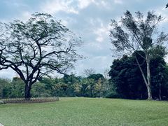 -中国科学院西双版纳热带植物园