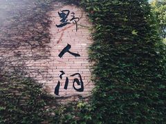 -蛇蟠岛
