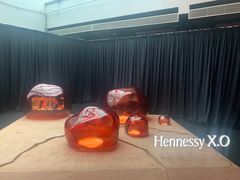 -精绝七日-新疆尼雅遗址数字大展【拉法耶文化艺术中心】