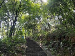 -桃花岭景区
