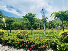 -三亚南山文化旅游区