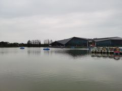 -上海长兴岛郊野公园