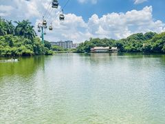 -广州长隆野生动物世界