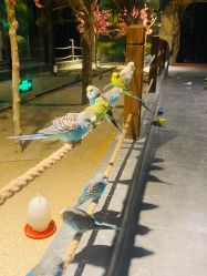 -酷嗒动物文化乐园(cutezoo西溪乐天城店)