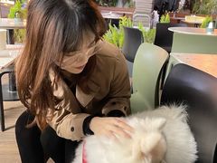 -gaga(深圳南山益田假日广场店)