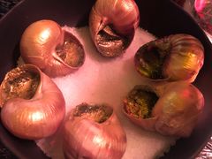-金蜗牛