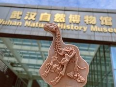-武汉园博园(武汉自然博物馆)