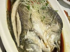 清蒸海鲈鱼-蔡府家宴(699店)