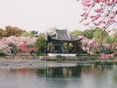 -无锡蠡湖国家湿地公园-蠡园