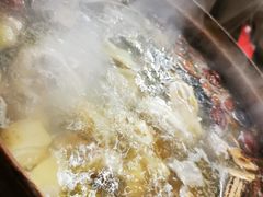 炭炉果鸡煲-威邵鸡煲(西华路总店)