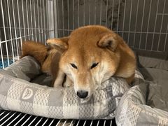 -小时光咖啡馆(北锣鼓巷店)