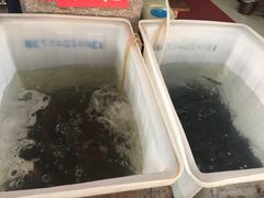 -金海椒罐罐鲢鱼(东方桂苑店)