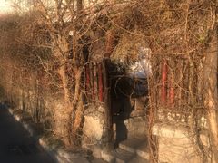 -斯多格书乡(北京大学畅春园店)
