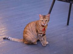 -叁 Three· bistro餐酒馆