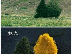 -可可托海景区