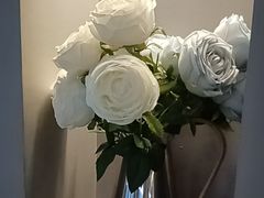 -董小味儿(奥特莱斯店)