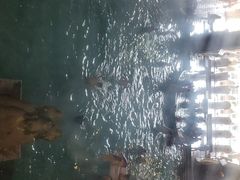 -咸宁万豪温泉谷度假区