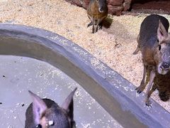 -正佳雨林生态植物园