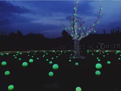 -秀丽东方