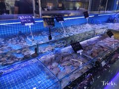 -渔民船说·北塘海鲜·天津菜·海肠捞饭(北塘古镇店)