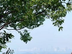 -宝界山林公园