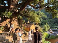 -杨家堂村