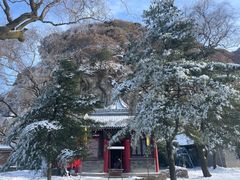 -秦岭终南山世界地质公园翠华山景区