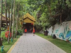 -西双版纳原始森林公园