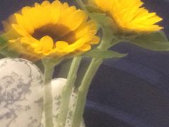 -翠湖宾馆·中餐厅