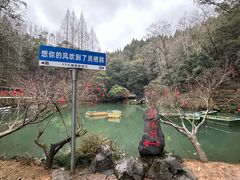 -灵栖洞天