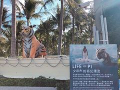 -白沙湾海滩