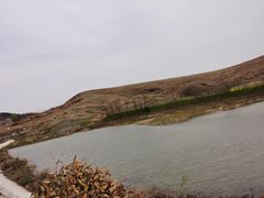 -恋山坝上草原