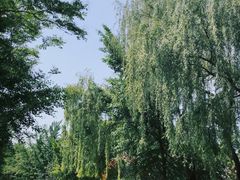 -石家庄市植物园