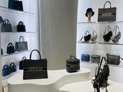 -Dior迪奥(国贸商城店)