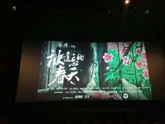 -AMG海上明珠影城(上海环球港RealDCinema店)