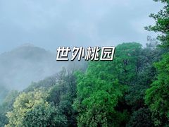 -缙云山景区