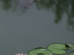 -大宁公园