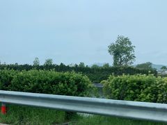 -日照海滨国家森林公园