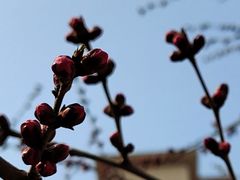 -朝阳公园